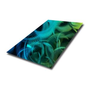 sus material 304L mirror etched polished 3D pattern stainless steel sheet for