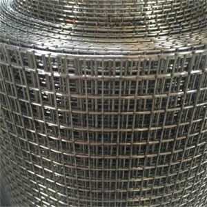 China High Quality Galvanized Welded Wire Mesh with Square Holes for Fence Industrial and Agricultural Use on sale