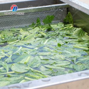 Single cylinder fruit and vegetable washing machine with slag separator Leaves