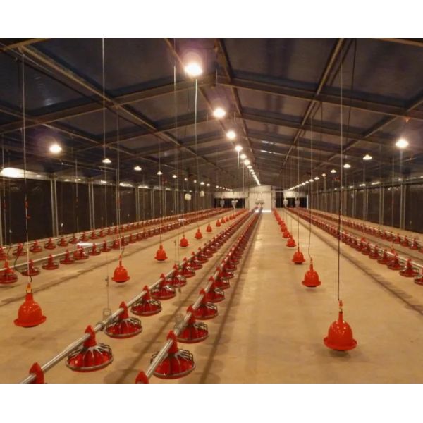 "Fully Customizable Light-Gauge Steel Prefabricated Chicken Poultry Shed: Engineered for Durability, Climate Adaptability and Efficient Farming in