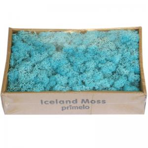 Cheap Soft Touch Preserved Moss Real Fresh Moss For Wall Decoration for sale