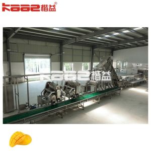 Complete Mango Juice Processing Machine 1t/H~20t/H Or Customized
