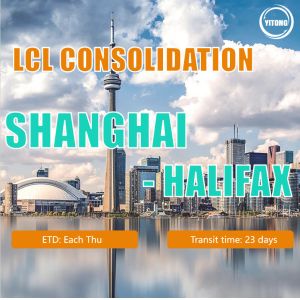 China Reliable FCL LCL Consolidation Shipping To Worldwide Or Container Shipping Service