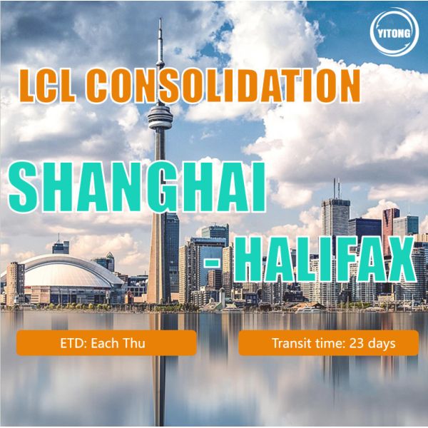 China Reliable FCL LCL Consolidation Shipping To Worldwide Or Container Shipping
