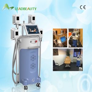 China -15 to 5 Degree fat frozen body shaping Cryolipolysis slimming machine on sale