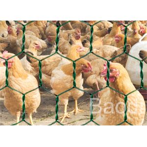 Green Vinyl Coated Chicken Wire Mesh Roll With Hexagonal Pattern 1 / 2" - 3"