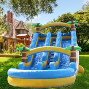 Max Capacity of 100-500kg Inflatable Water Slide for Adults PVC Material