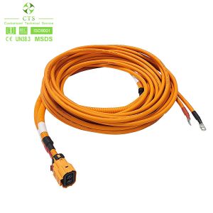 CTS Customized OEM ODM Industrial Automobile Car Wire Harness With Connector For