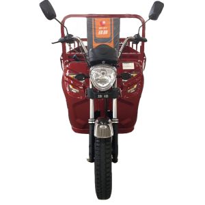 Pedal 1.0m*3.1m 110cc 3 Wheel Trike Moped