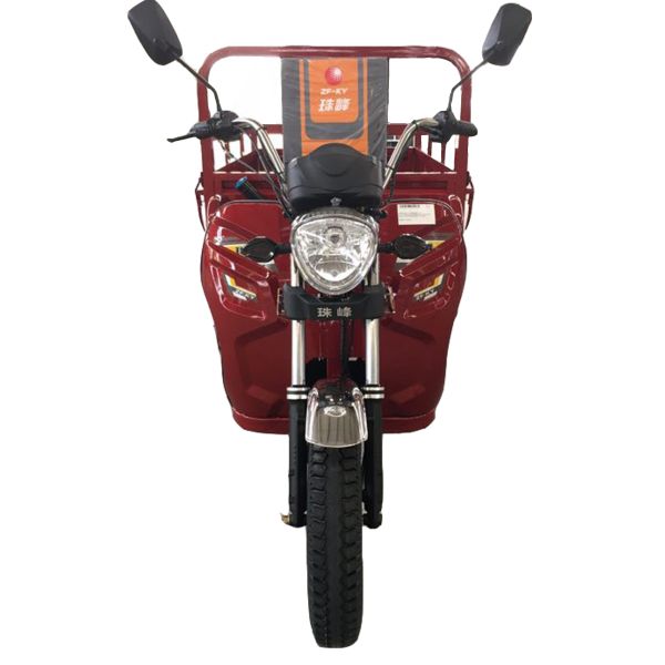 Quality Pedal 1.0m*3.1m 110cc 3 Wheel Trike Moped wholesale