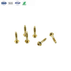 Cheap M4 Carbon Steel Yellow Zinc Phillips Hexagon Flange Head Dog Tail Screws with ±0.01mm Tolerance for sale