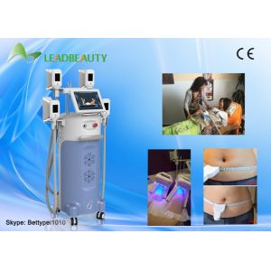 China Factory price cryolipolysis fat removal machine with two handls can work at the same time on sale