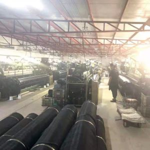 17X15Mesh Fly Insect Screen Mesh