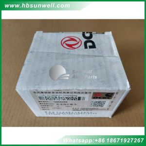 3955069 Camshaft speed Indicator ring for Cummins ISBe ISDe QSB diesel engine