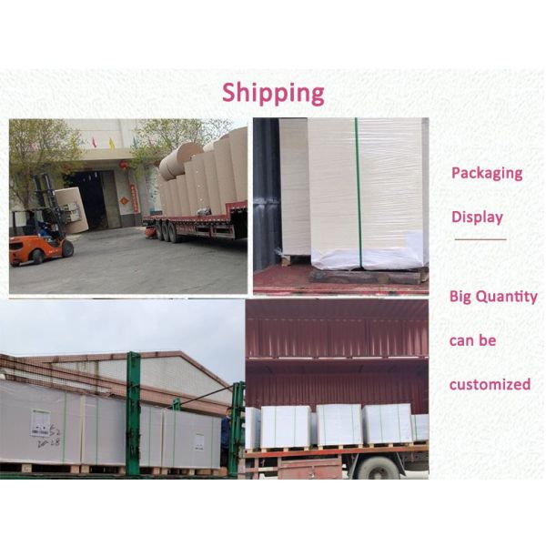 FDA Paper Cupstock Base Paperboard 170g / 190g / 210g No Fluorescent Whitening Agent FDA Cupstock Base Paperboard 170g / 210g No Fluorescent Whitening Agent