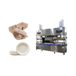 Cheap Bleach Pulp Sheet Dry In Mould Machine To Make Paper Plate And Burger Container for sale