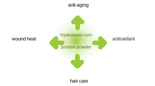 product-1-1 Hydrolyzed Corn Protein