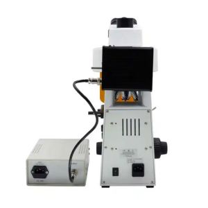 L1501 Reflected Fluorescence Microscope With Halogen Lamp Brightness Control