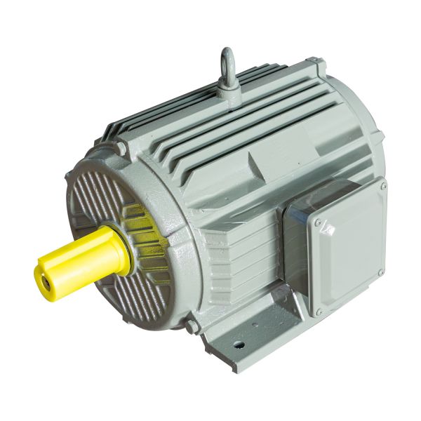 Quality IP55 High Efficiency Electric Motor Rigidity Ye5 Ie5 Electric Induction Motor wholesale