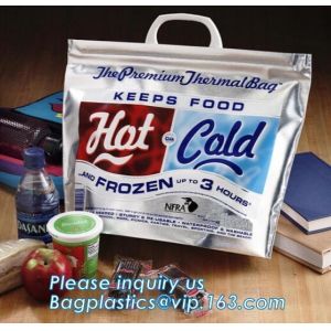 China Reusable Insulated Aluminium Foil 6 Pack Cooler Bag Lunch Bag Thermal Bag,foil ldpe food delivery thermal bag bagease on sale