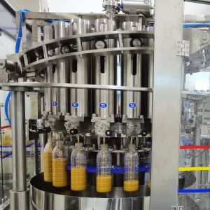 Energy-Saving High Efficiency Water-Saving Mango Processing Line and Mango Pulp