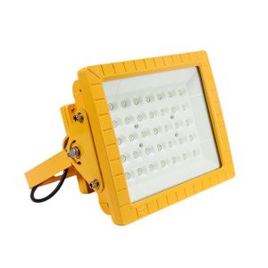 4' Canopy Explosion Proof LED Flood Lights 60w 100 Watt