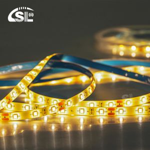Light Strings with Color Rendering Index Ra 80 5M/R DC12V 8MM 120 Beads 10W/M