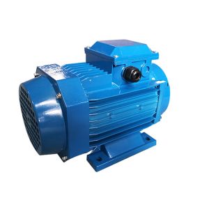IE1 3 Phase Induction Motor 400v 50Hz MS Aluminum Body Energy Saving High