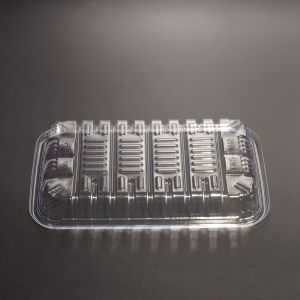 Plastic PET Tray With Customized Color For Food Packing Container