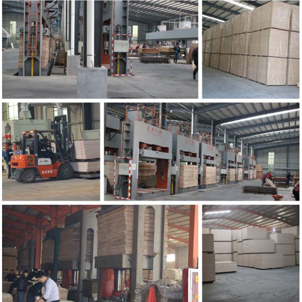 Environmental Protection Particle Board Wardrobe Furniture White Sliding Door