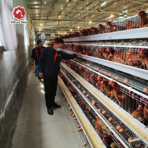 Cheap Hot Dipped Galvanized 128 birds Chicken Egg Layer Cages A Type for sale