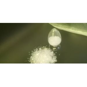 HAA Curing 92/8 Resin Superdurable Fast Cure Componet