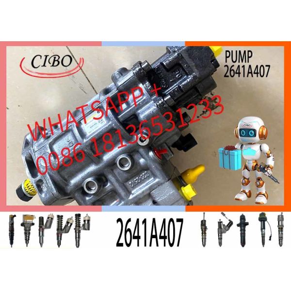 Diesel engine fuel Pump 2641A407 368-9171 295-9126 for C6.6 Excavator 320D