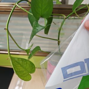 Plastic Polycarbonate Sheet Known for High Tensile Strength and Durability