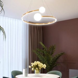 Nordic lamp Modern Led Pendant lights For Dining room Living room Shop Circle