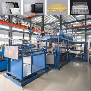 China Seedling Tray Plastic Thermoforming Machine Processing Type Plastic Vacuum Forming Machine on sale