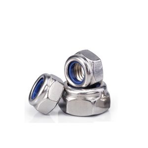 SS304 SS316 Stainless Steel Hex Nylon Lock Nut Brass Material M3 M4 M5 M6 M8 M10