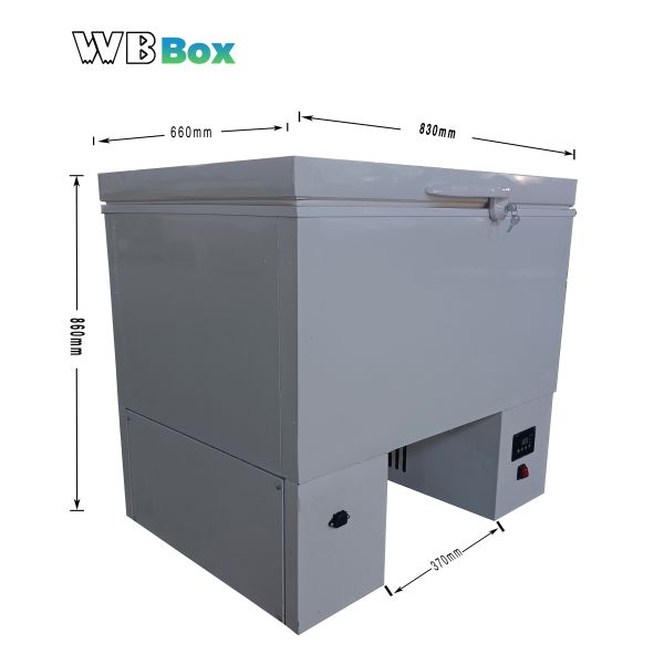 Electric Cargo Tricycle 60V 1000W Power Open/Closed Body Types 400kg Ice Cream Display Box for Delivery Business