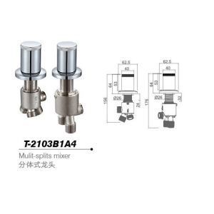Bathtub mixer,Faucet,cold/hot water basin tap T-2103B1A4