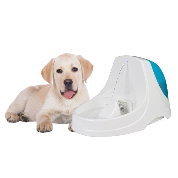 Quality 3V 0.06W 3.6 Liter Cat Water Drinking Fountain BPA Free Plastic Material wholesale