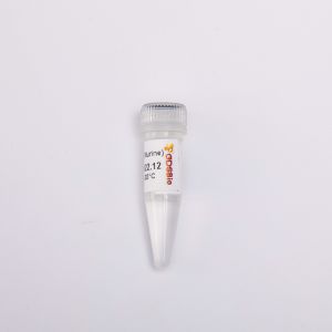 20000U RNase Inhibitor Murine R4001 Colourless Appearance