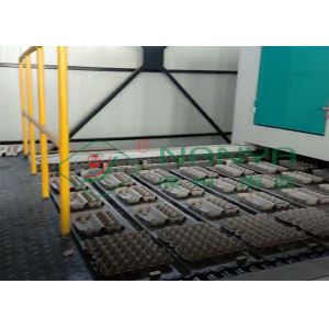 Fully Auto Molded Tray Making Machine For Egg Tray / Egg Carton / Seeding Cup