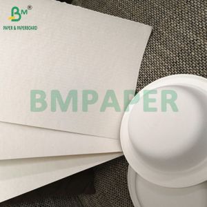 Biodegradable 100gsm - 400gsm Natural Sugarcane Bagasse Pulp Base Paper Roll