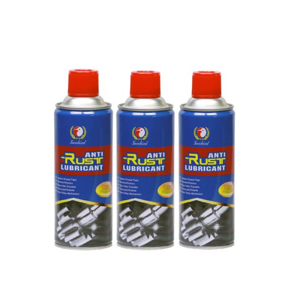 Quality REACH 400ml Anti Rust Lubricant Spray For Bicycle Chain wholesale