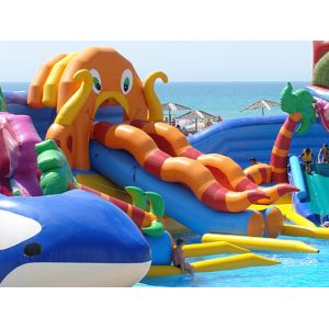 customized giant octopus water park,dolohin animal inflatable water park with