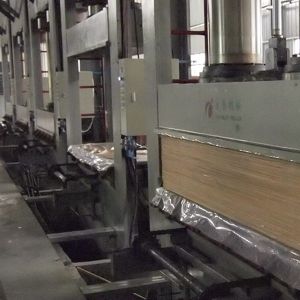 Fancy Wood Veneer Of Maple Burl 2500-3100mm MB-X2333 Lengthened Size For Wood