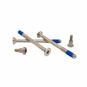 Customized Dispensing Hexagon Screw Oil-Proof Drop-Resistant Bolt Plum