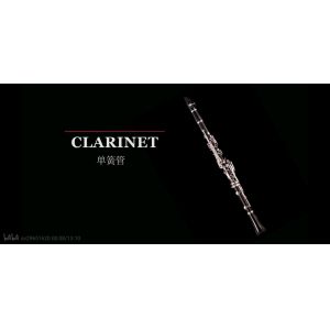 clarinet colorful clarinets ABS color clarinet wind musical instruments Bb 17