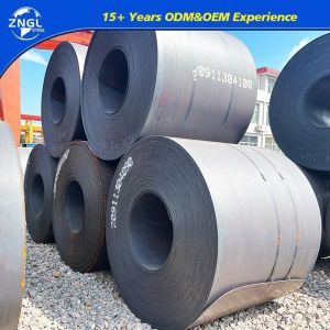 Q235 Q345 Q355 Ss400 S23jr S355jr A36 Carbon Steel Coils with Oiled or Non-Oiled