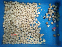 multifunctional Color Sorting Machines 128 Channels 1T/H